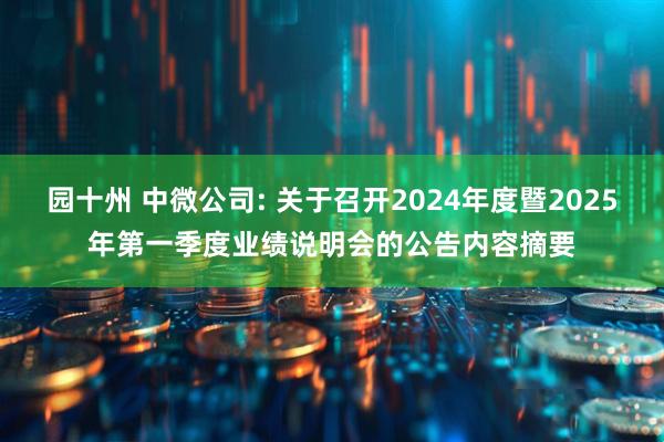 园十州 中微公司: 关于召开2024年度暨2025年第一季度业绩说明会的公告内容摘要