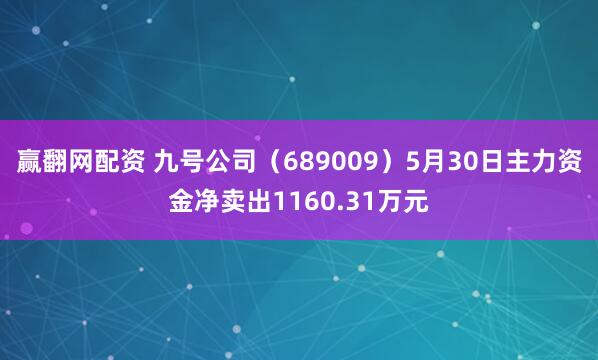 赢翻网配资 九号公司（689009）5月30日主力资金净卖出1160.31万元