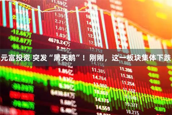 元富投资 突发“黑天鹅”！刚刚，这一板块集体下跌