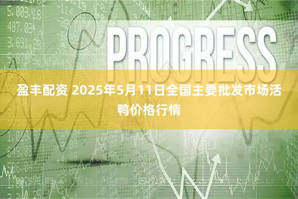 盈丰配资 2025年5月11日全国主要批发市场活鸭价格行情