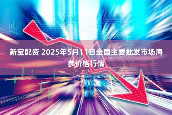 新宝配资 2025年5月11日全国主要批发市场海参价格行情