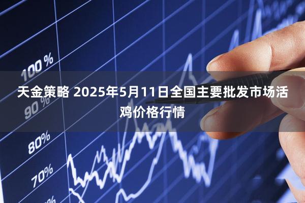 天金策略 2025年5月11日全国主要批发市场活鸡价格行情