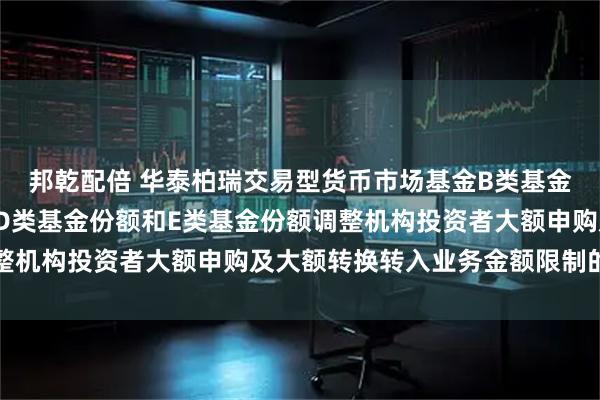 邦乾配倍 华泰柏瑞交易型货币市场基金B类基金份额、C类基金份额、D类基金份额和E类基金份额调整机构投资者大额申购及大额转换转入业务金额限制的公告