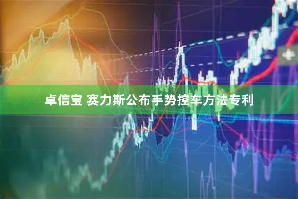 卓信宝 赛力斯公布手势控车方法专利