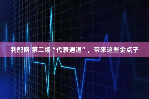 利配网 第二场“代表通道”，带来这些金点子